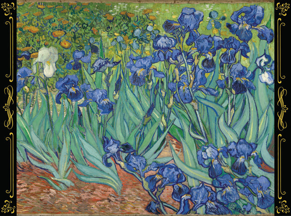 Van Gogh - Irises, 1889
